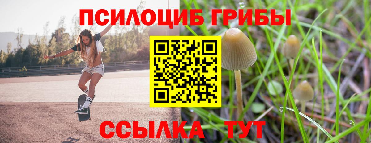 Псилоцибиновые грибы прущие грибы Кировск