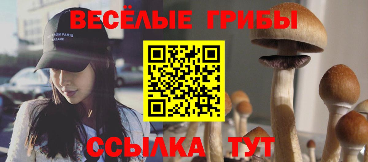где можно купить   Вход с VPN  Кировск  Псилоцибиновые грибы Magic Shrooms 